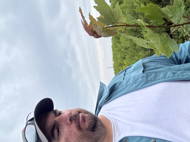 Bella Vista Tree Farm