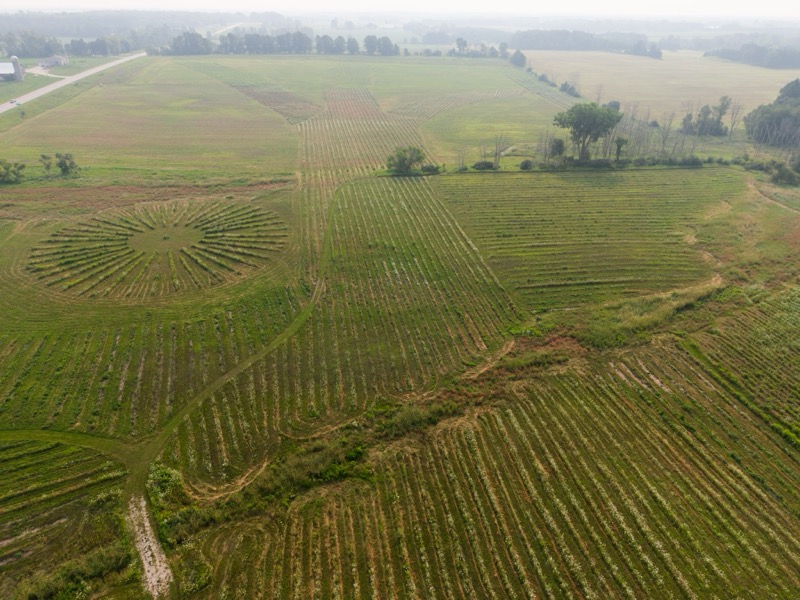 Bella Vista Tree Farm aerial view