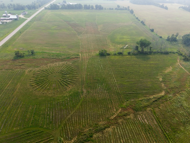 Bella Vista Tree Farm aerial view