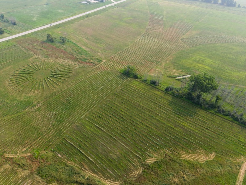 Bella Vista Tree Farm aerial view