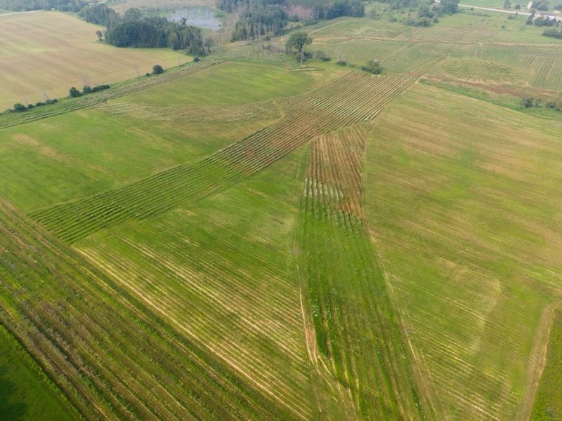 Bella Vista Tree Farm aerial view