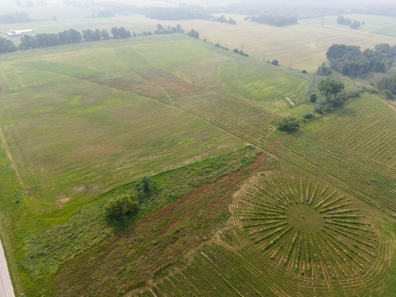 Bella Vista Tree Farm aerial view