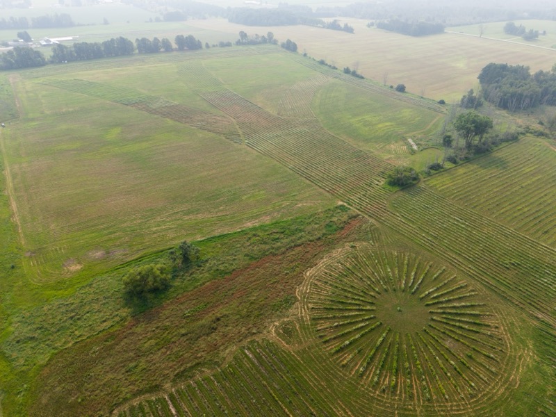 Bella Vista Tree Farm aerial view