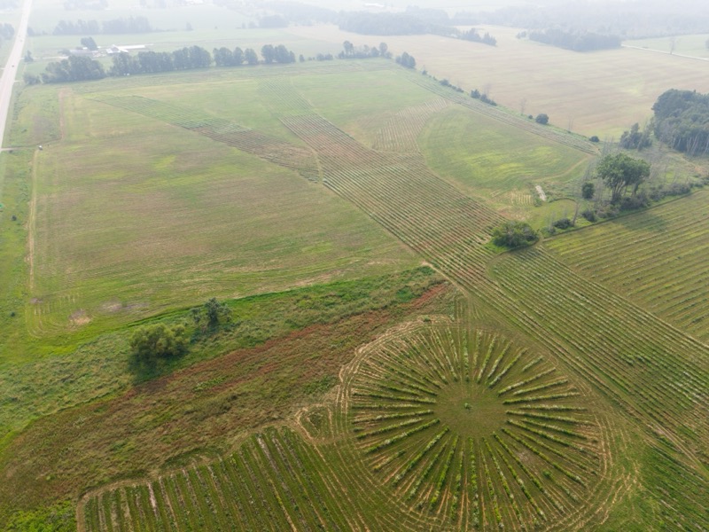 Bella Vista Tree Farm aerial view